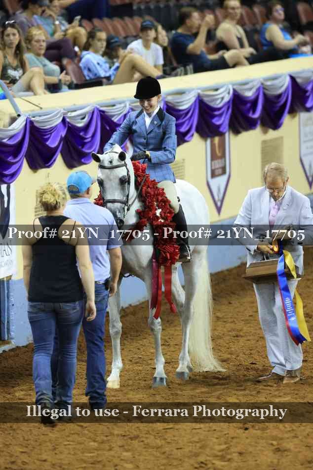 Proof Number 21YN_17705