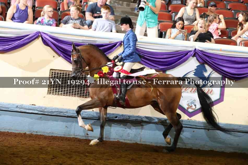 Proof Number 21YN_19294