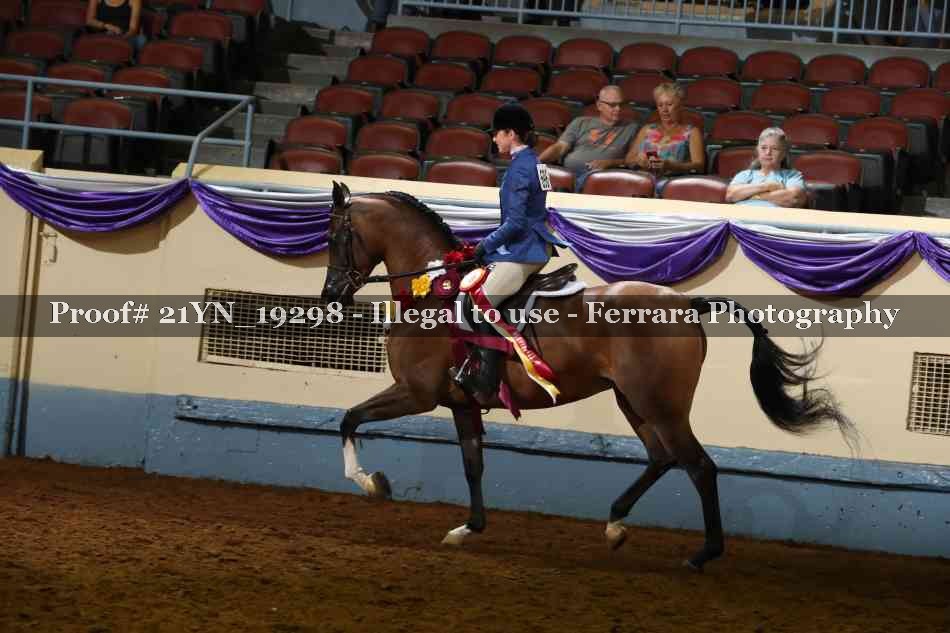 Proof Number 21YN_19298