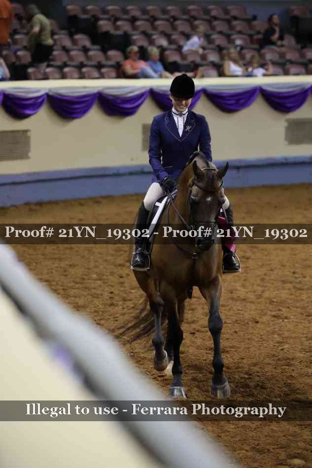 Proof Number 21YN_19302