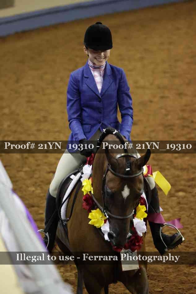 Proof Number 21YN_19310
