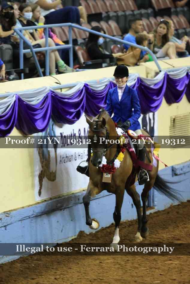 Proof Number 21YN_19312