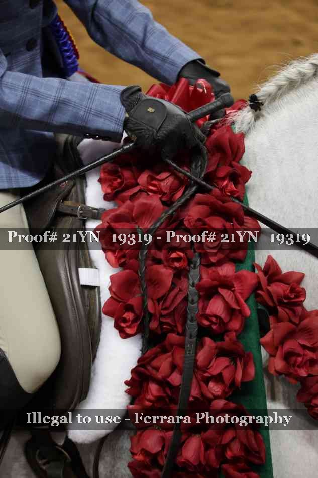 Proof Number 21YN_19319