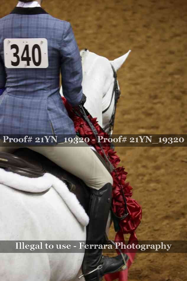 Proof Number 21YN_19320