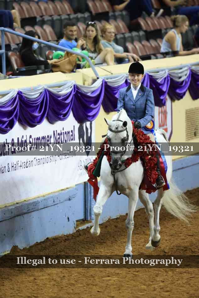 Proof Number 21YN_19321