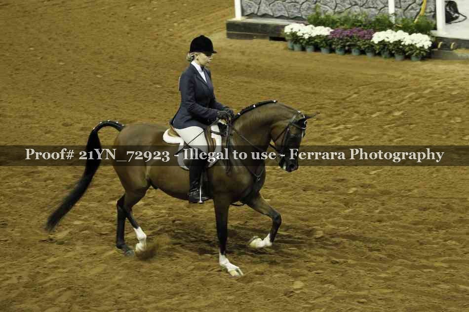 Proof Number 21YN_72923