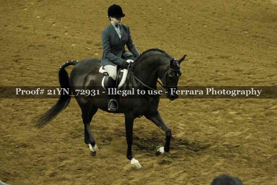 Proof Number 21YN_72931