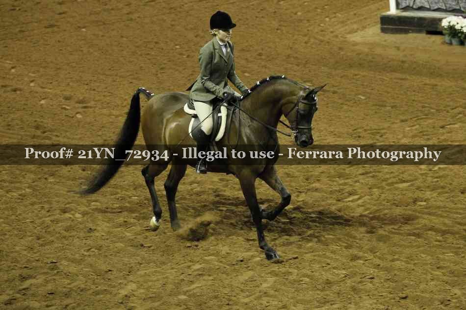Proof Number 21YN_72934
