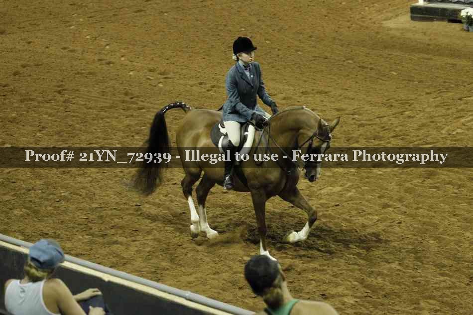 Proof Number 21YN_72939
