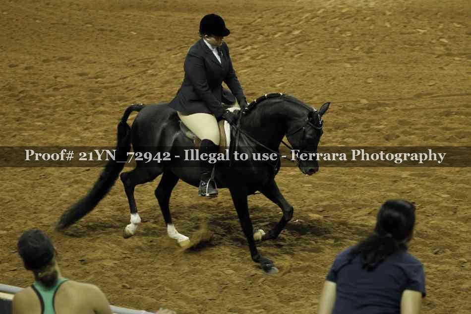 Proof Number 21YN_72942
