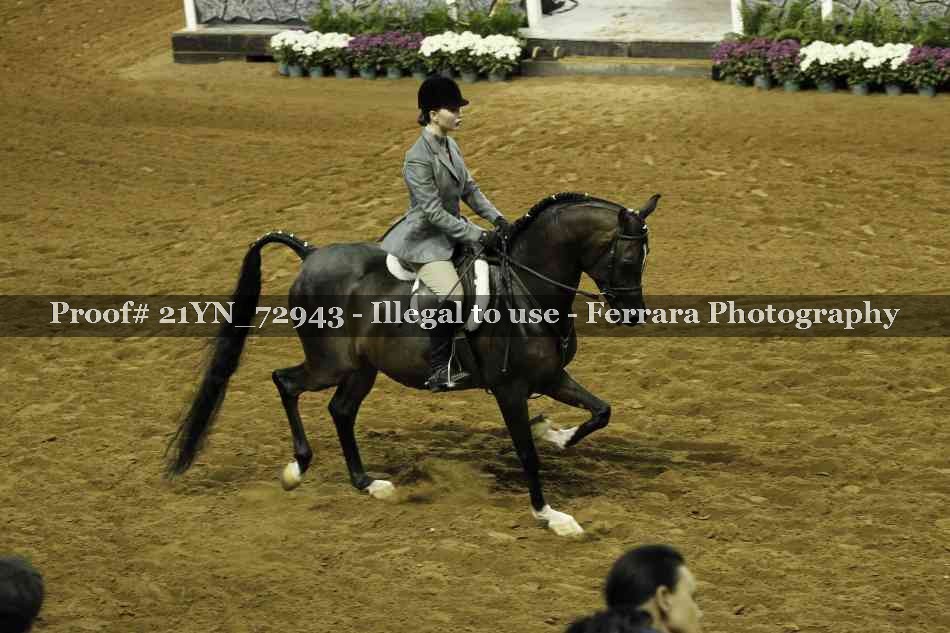 Proof Number 21YN_72943