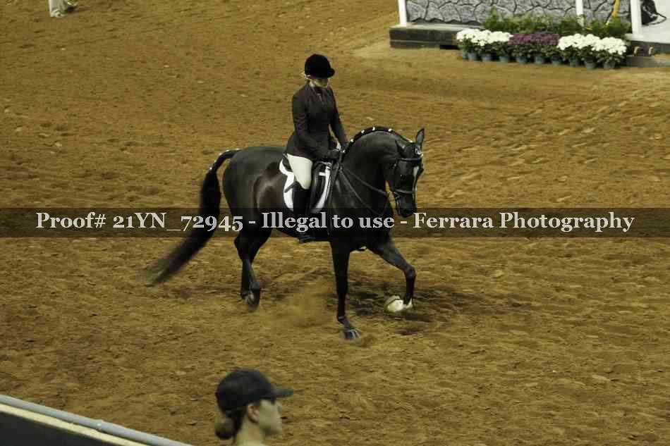 Proof Number 21YN_72945