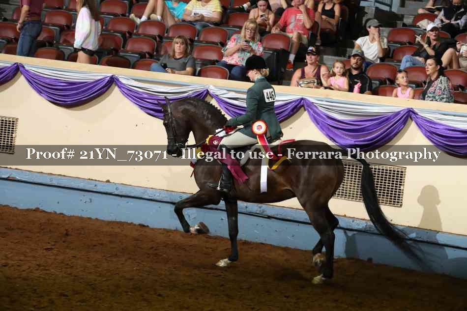 Proof Number 21YN_73071