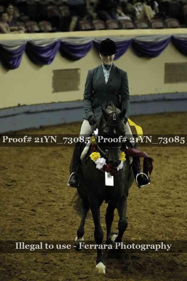 Proof Number 21YN_73085
