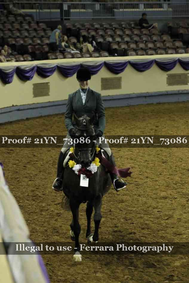 Proof Number 21YN_73086