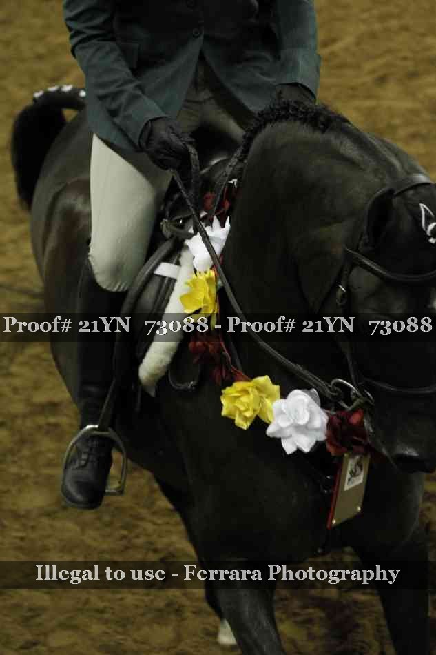 Proof Number 21YN_73088