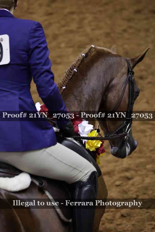 Proof Number 21YN_27053
