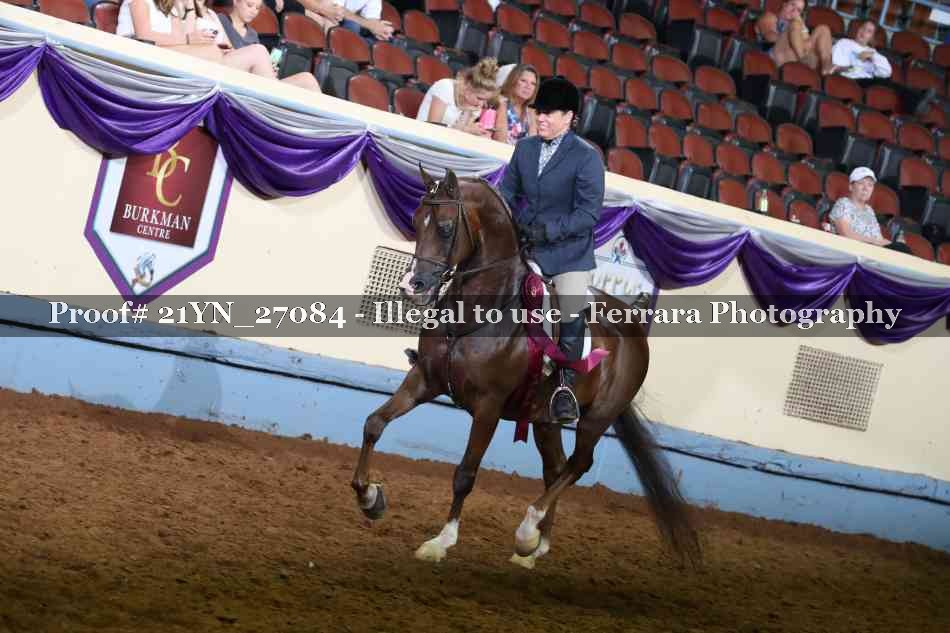 Proof Number 21YN_27084