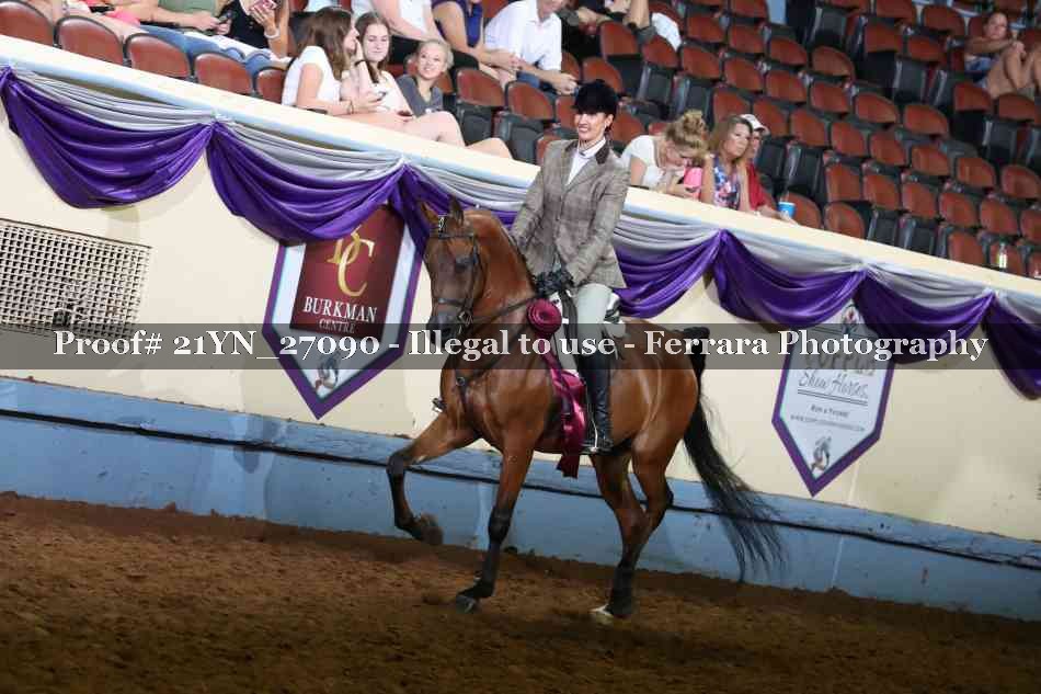 Proof Number 21YN_27090