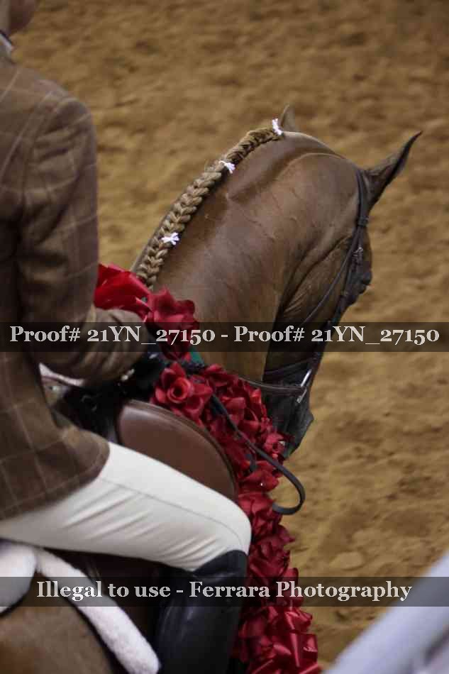 Proof Number 21YN_27150
