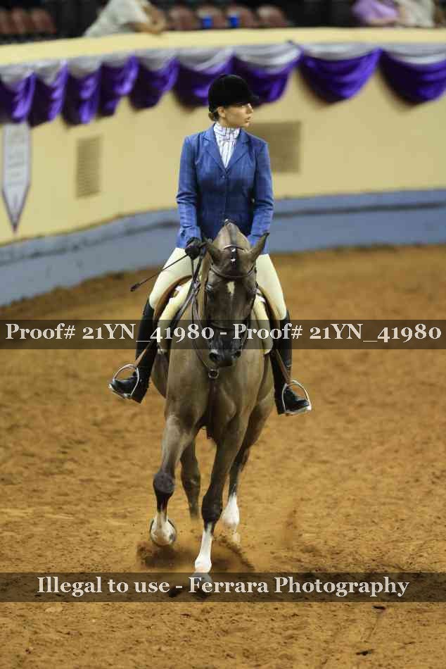 Proof Number 21YN_41980