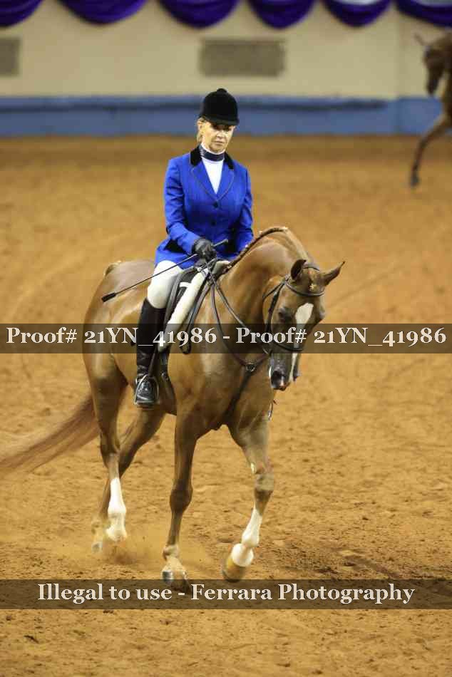 Proof Number 21YN_41986
