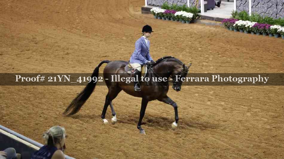 Proof Number 21YN_41992