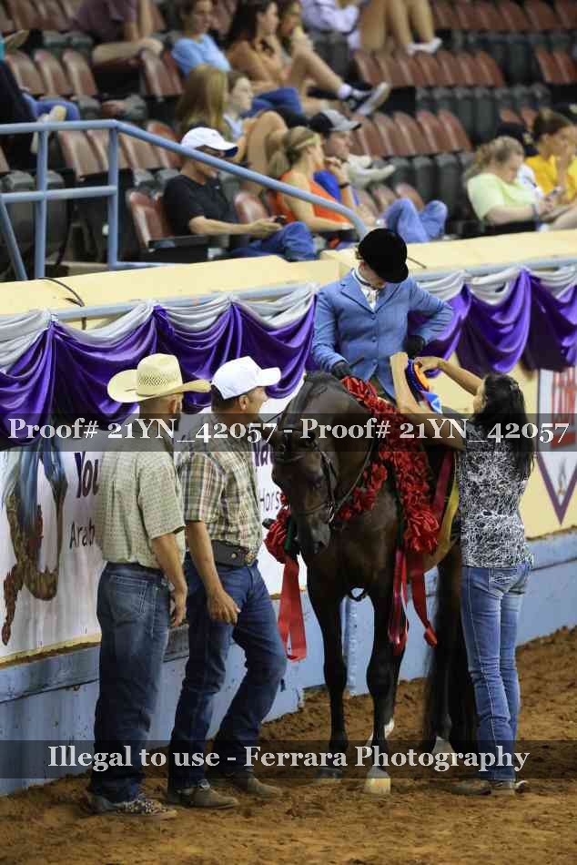 Proof Number 21YN_42057