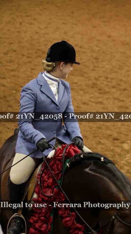 Proof Number 21YN_42058