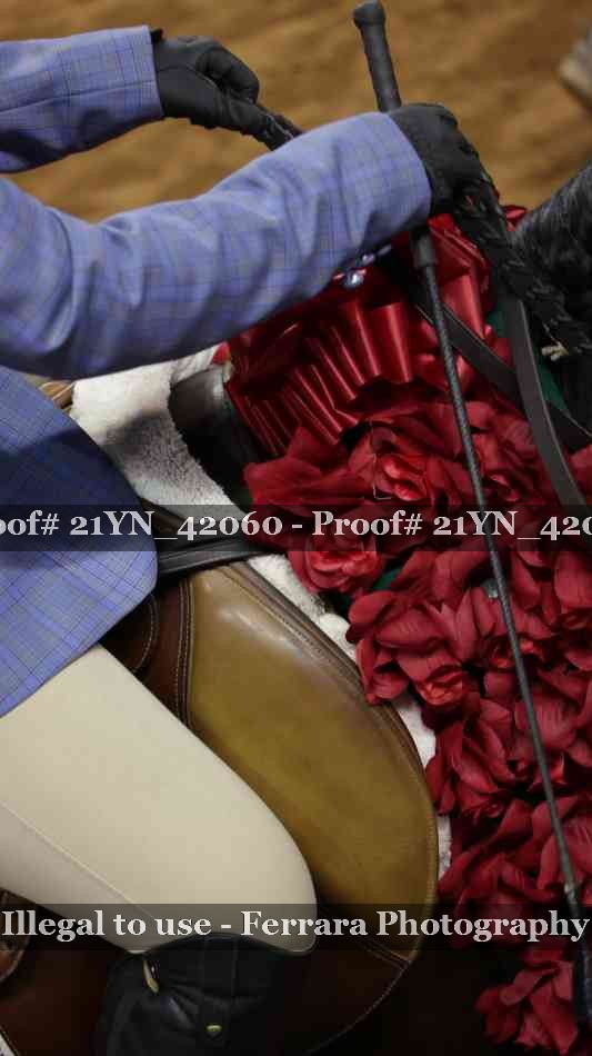 Proof Number 21YN_42060