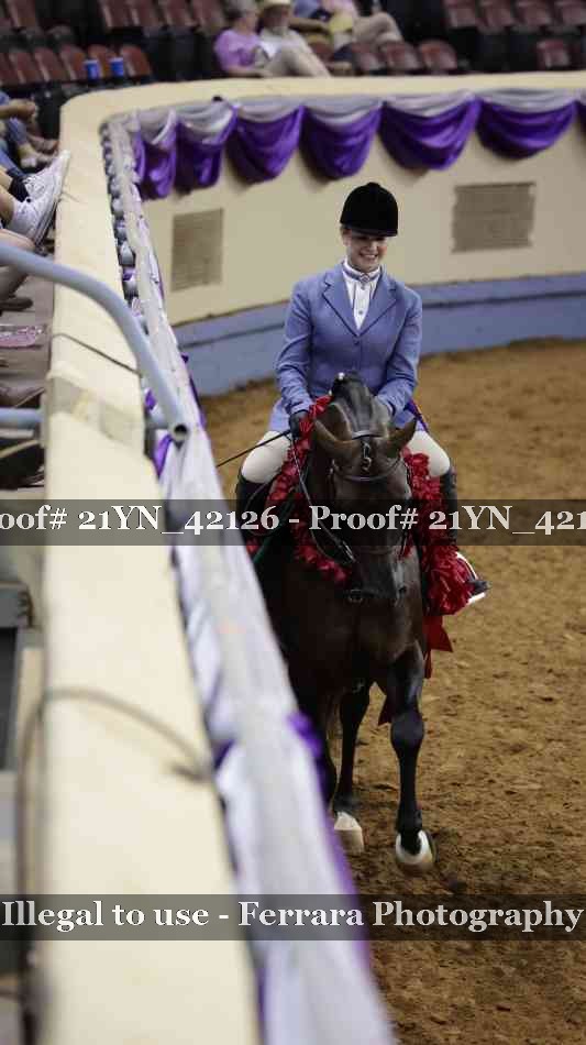 Proof Number 21YN_42126