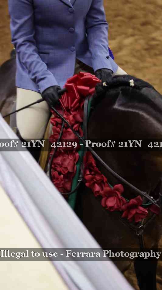 Proof Number 21YN_42129
