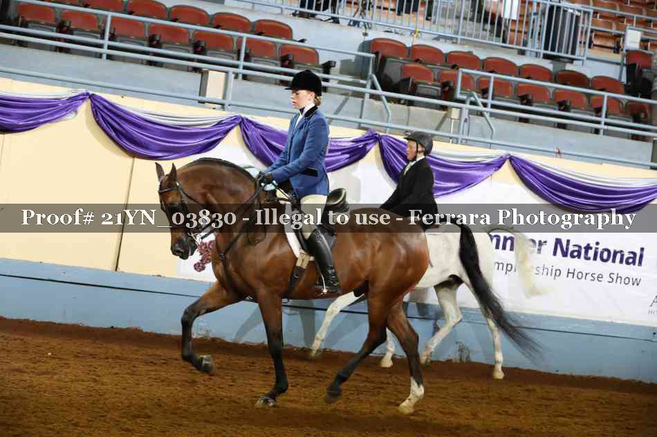 Proof Number 21YN_03830