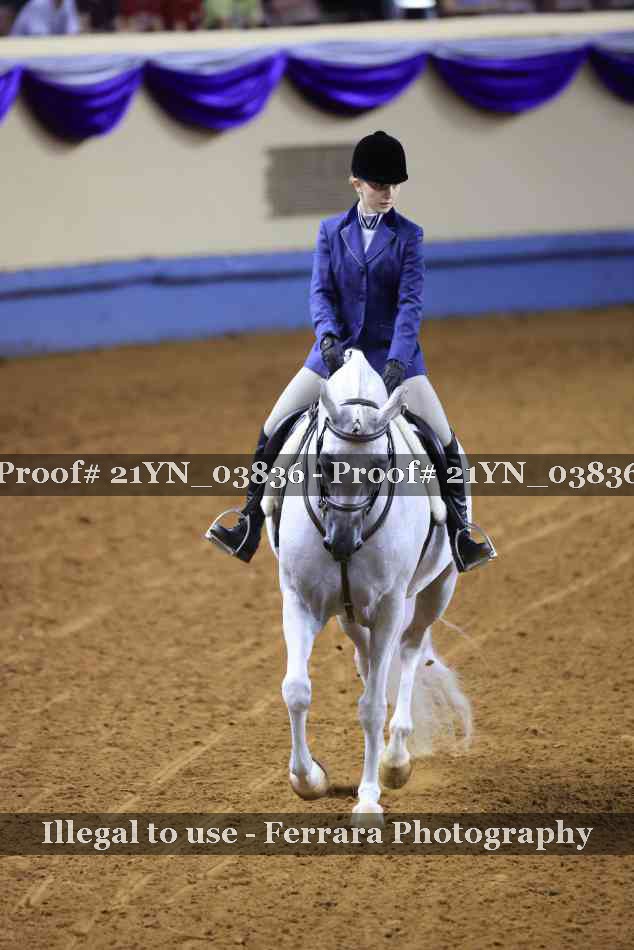 Proof Number 21YN_03836