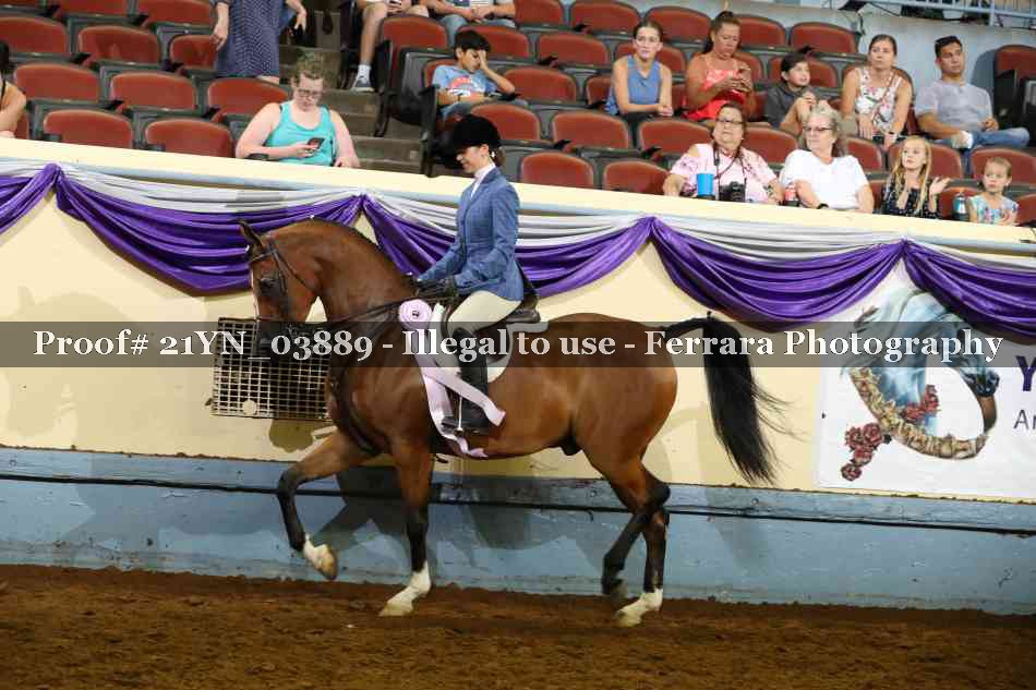 Proof Number 21YN_03889