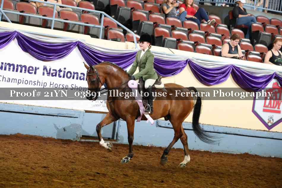 Proof Number 21YN_03891