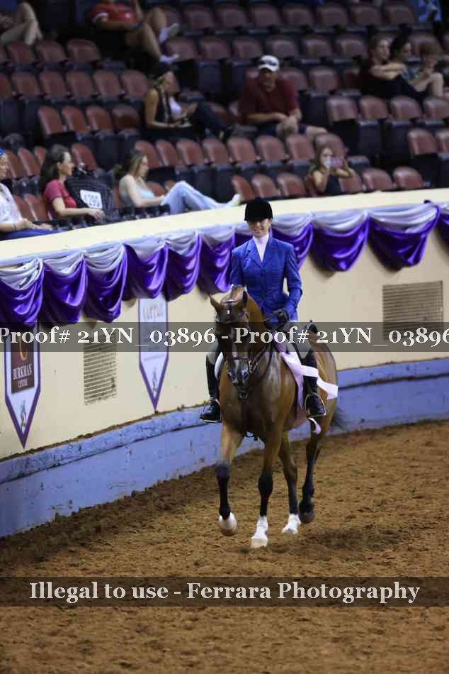 Proof Number 21YN_03896