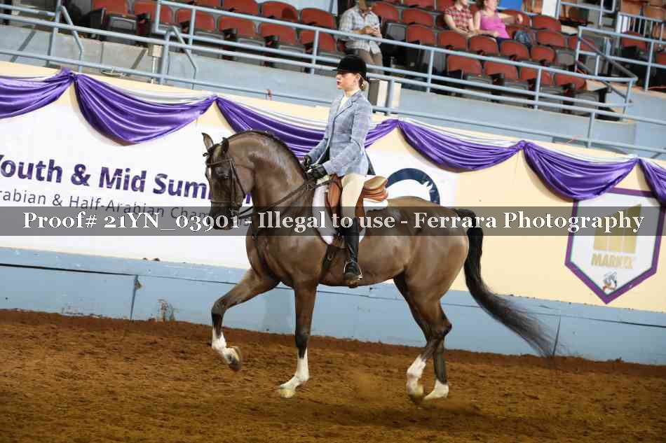Proof Number 21YN_03901
