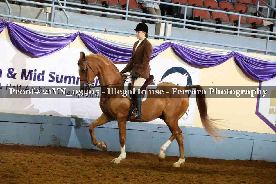 Proof Number 21YN_03905