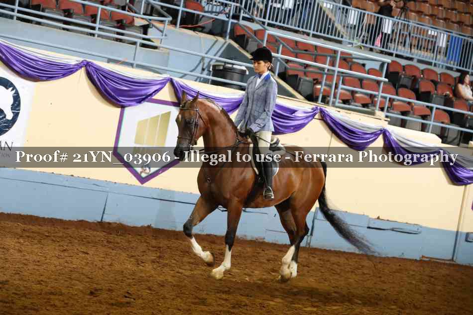 Proof Number 21YN_03906