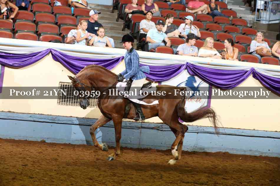 Proof Number 21YN_03959
