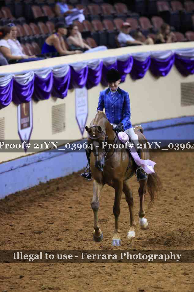 Proof Number 21YN_03964
