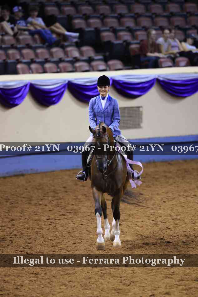 Proof Number 21YN_03967