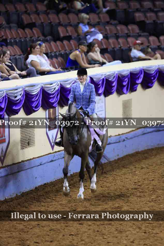 Proof Number 21YN_03972