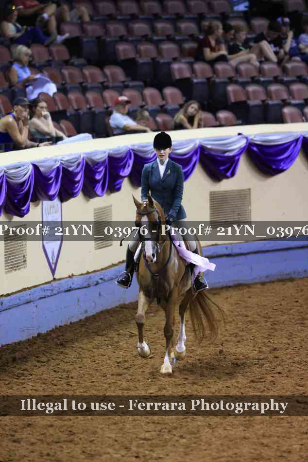 Proof Number 21YN_03976