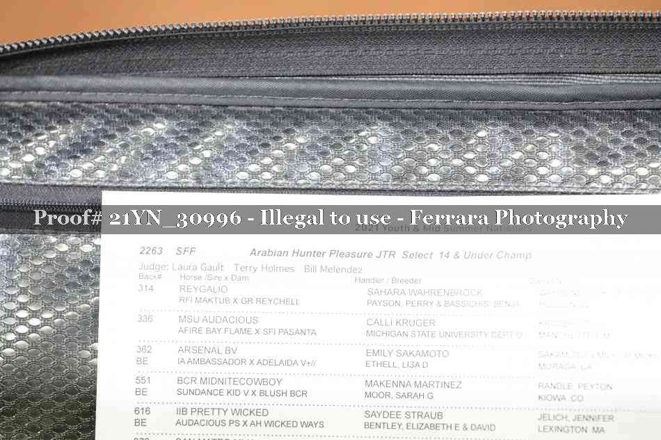 Proof Number 21YN_30996