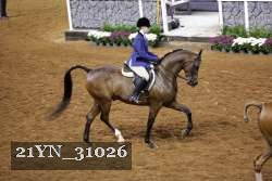 21YN_31026 thumbnail