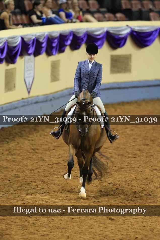 Proof Number 21YN_31039