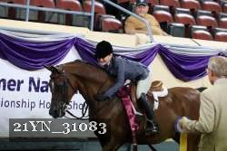 21YN_31083 thumbnail