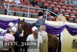 21YN_31086 thumbnail